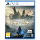 Игра Hogwarts Legacy. Exclusive DLC Astronomers Hat [PS5, русские субтитры] в Краснодаре